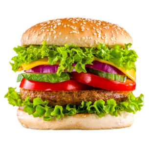 picture of a burger